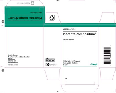 Placenta Compositum Injection.jpg (Placenta Compositum Injection)